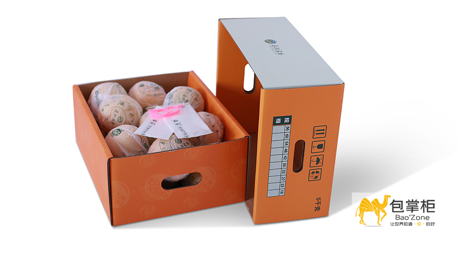 橙子包裝設(shè)計(jì)